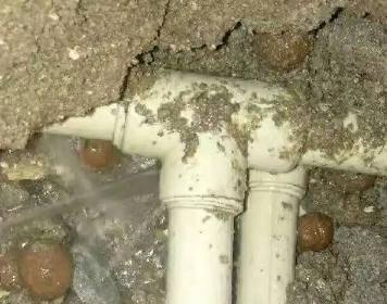 天心测漏水多少钱