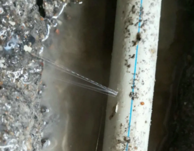 天心测漏水哪家好