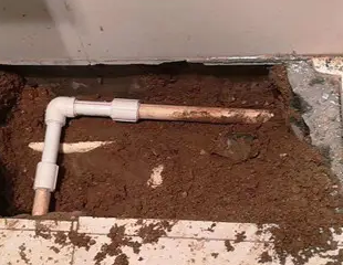 天心测漏水哪家好