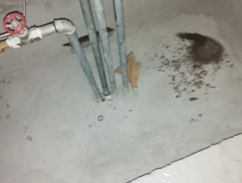 天心卫生间测漏水价格明细