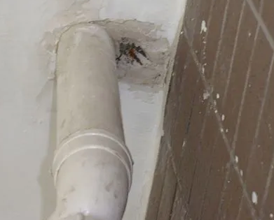 天心漏水检测哪家好